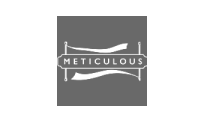 METICULOUS.png